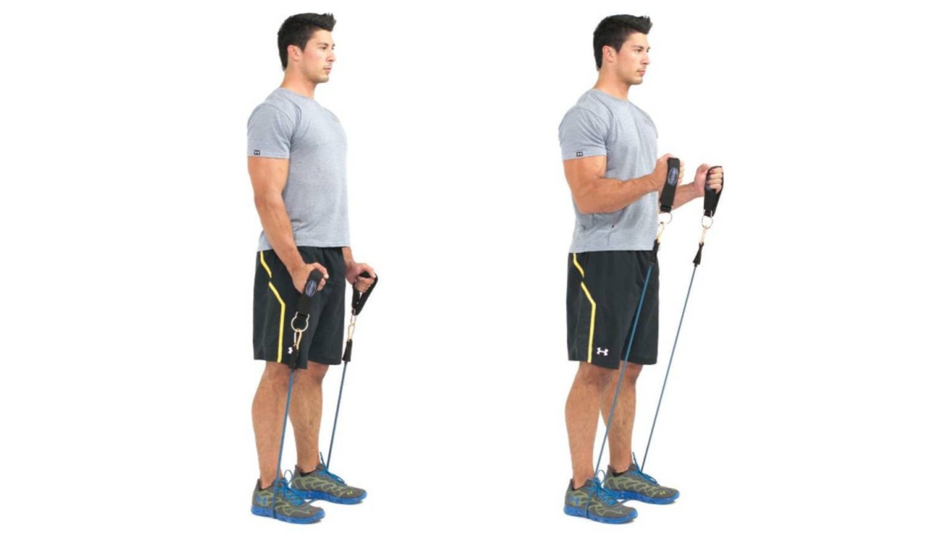 Band Hammer Curl Diagram