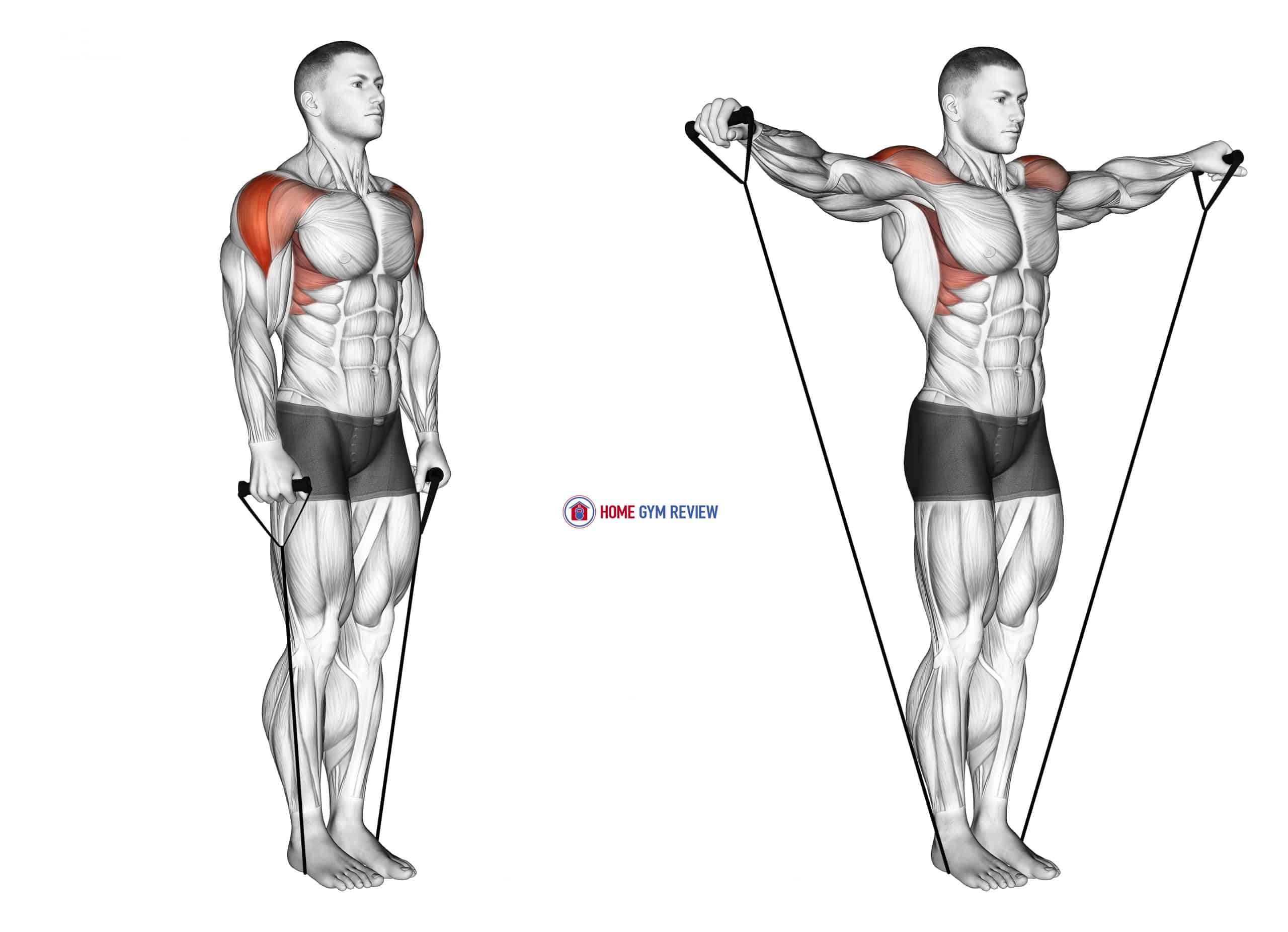 Band Lateral Raise Diagram