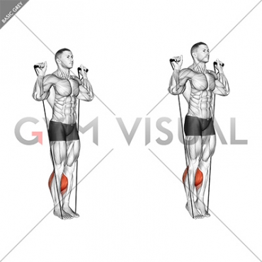 Band Calf Raise Diagram