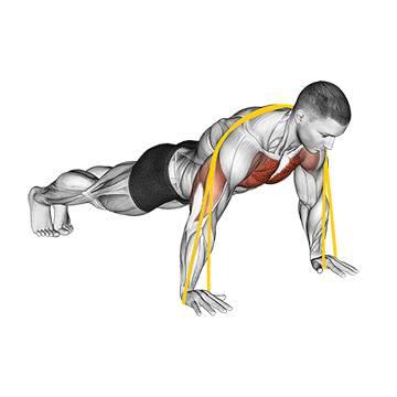 Band Push-Up Diagram