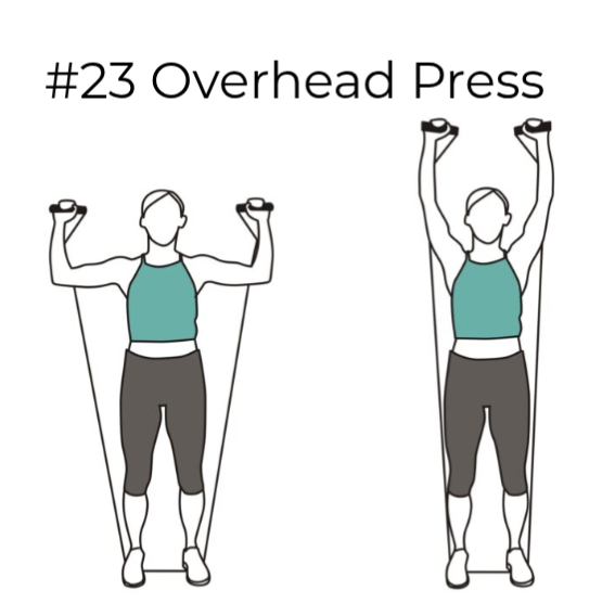 Band Overhead Shoulder Press Diagram