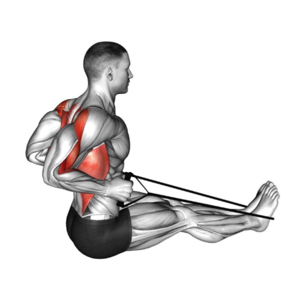 Band Seated Row Diagram