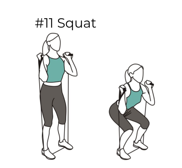 Band Squat Diagram